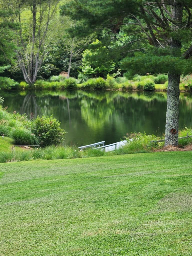 281 Arrowhead Road Fancy Gap, VA 24328 - Photo 4 of 44 Gallery Image 4