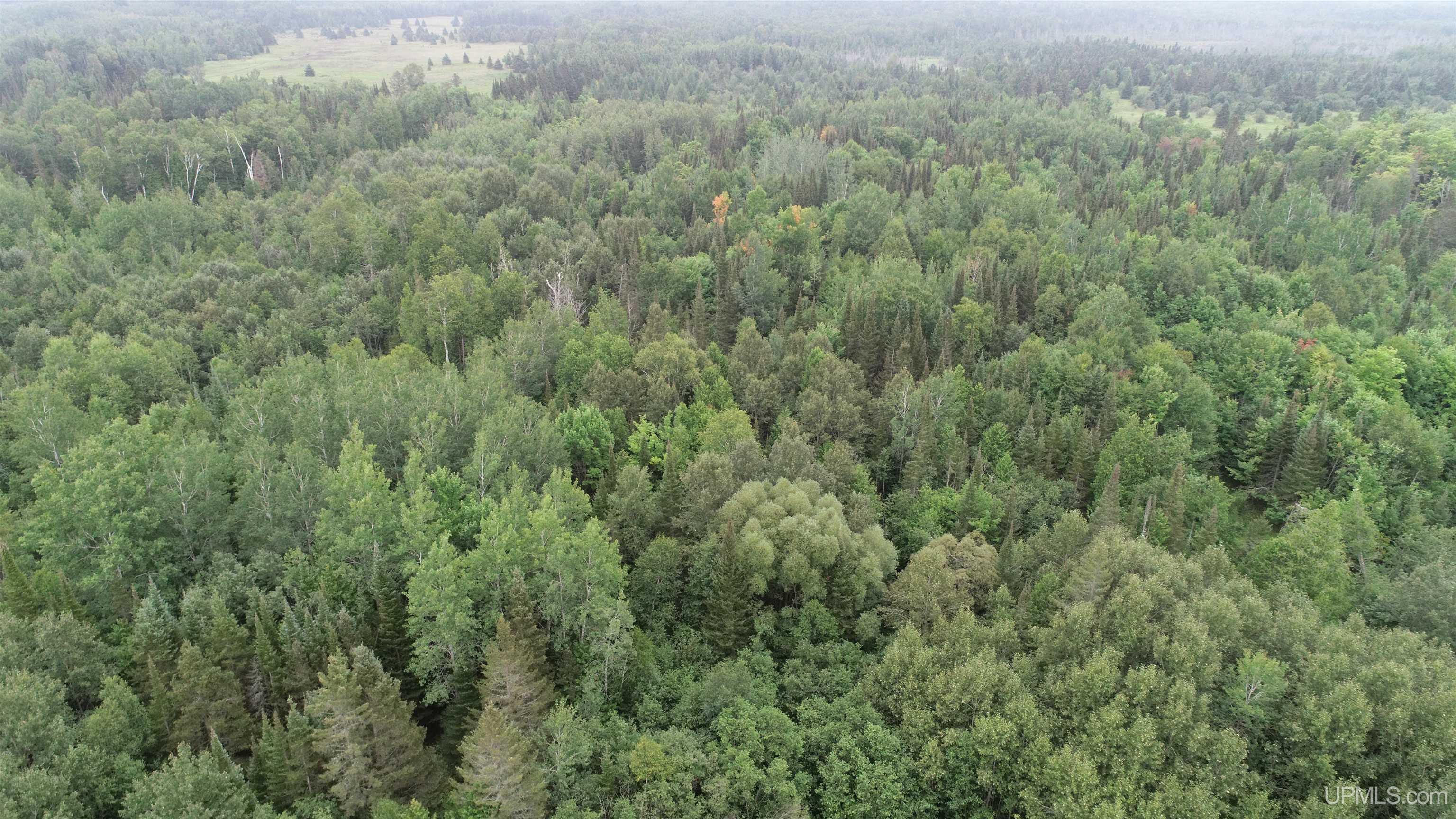 5759 North Kendall Road Manistique, MI 49854 - Photo 60 of 63 Gallery Image 60
