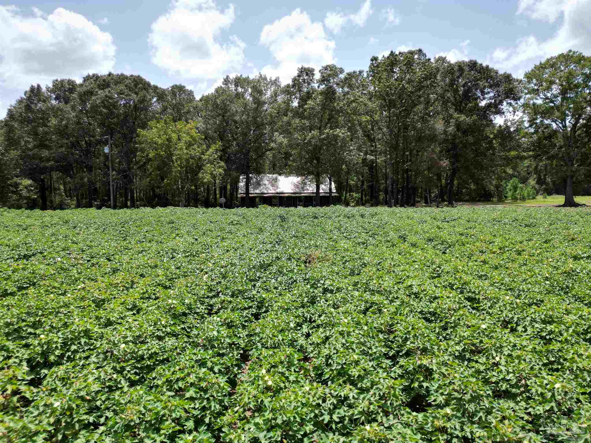 9549 Travis Road Brewton, AL 36426 - Photo 38 of 45