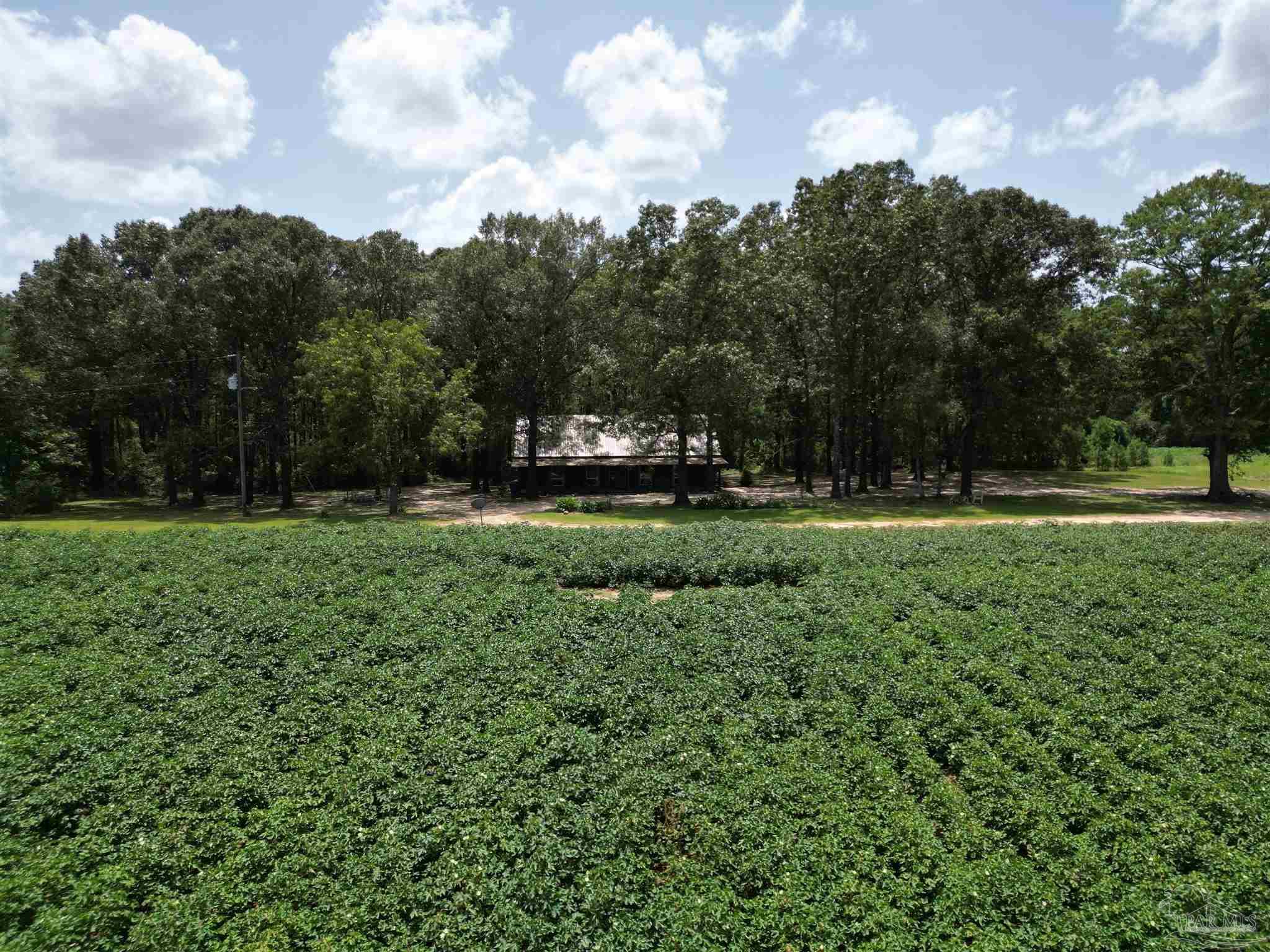 9549 Travis Road Brewton, AL 36426 - Photo 39 of 45