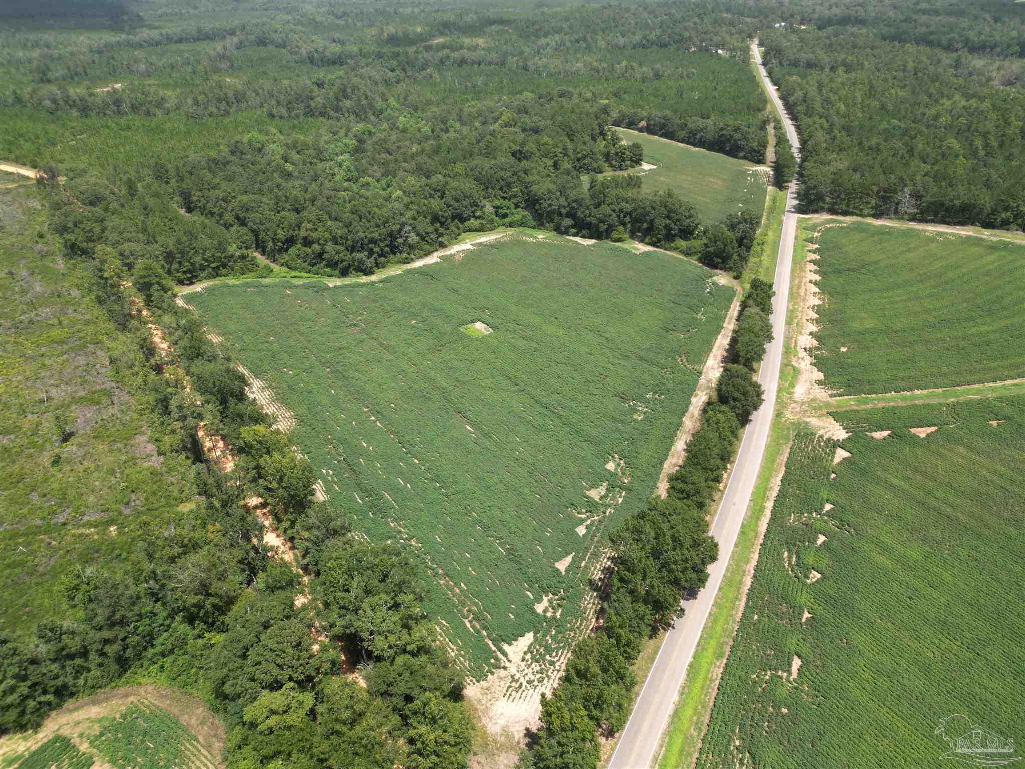 9549 Travis Road Brewton, AL 36426 - Photo 40 of 45
