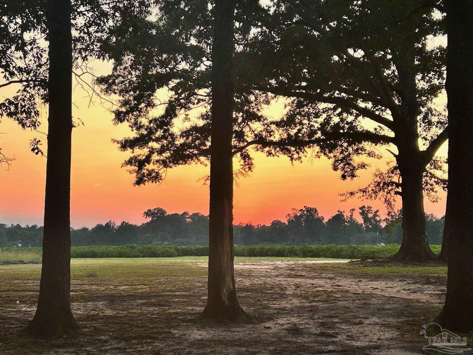 9549 Travis Road Brewton, AL 36426 - Photo 43 of 45