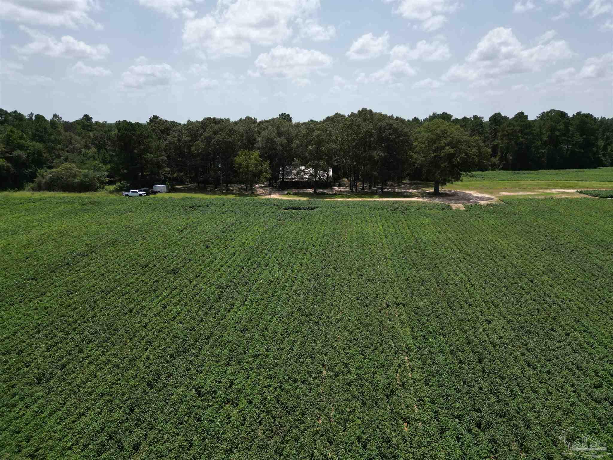 9549 Travis Road Brewton, AL 36426 - Photo 5 of 45