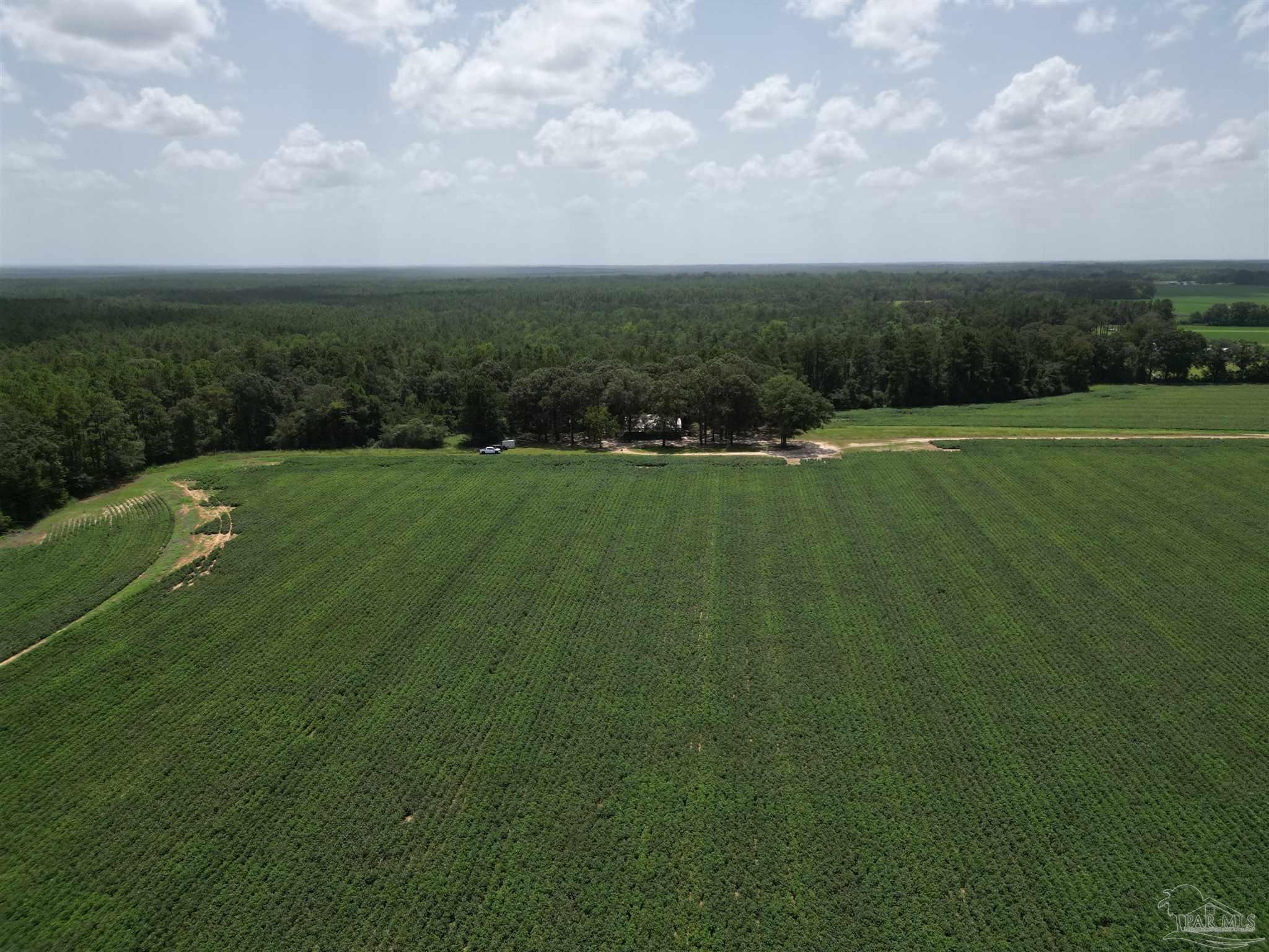 9549 Travis Road Brewton, AL 36426 - Photo 6 of 45