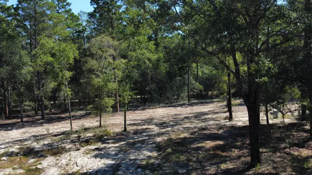 a view of a field with trees