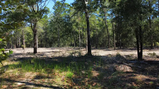 $299,000 | 4005 Rock Hill Road, DeFuniak Springs, FL 32435