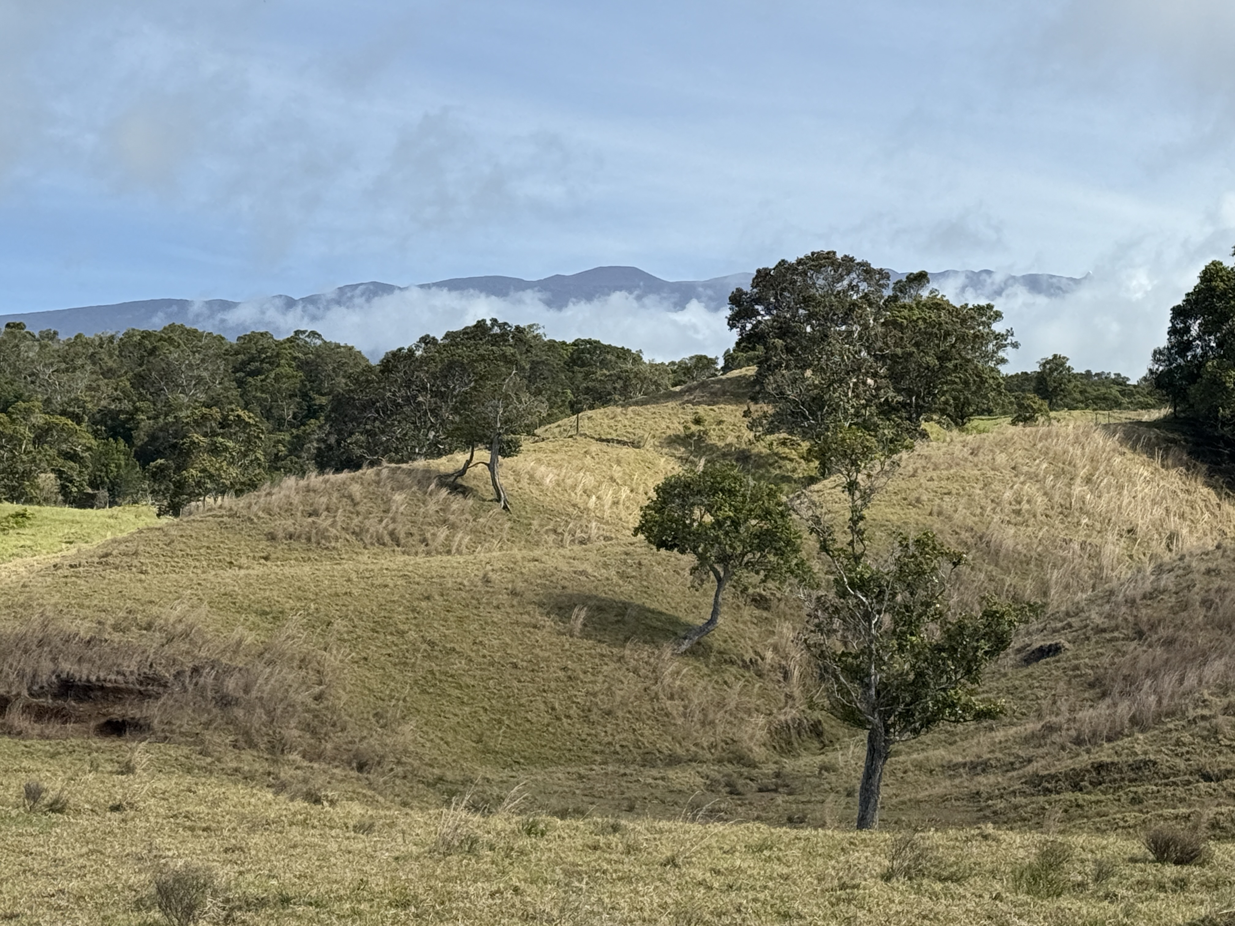 44-2135 Pohakealani Road Paauilo, HI 96776 - Photo 1 of 28 a view of ocean