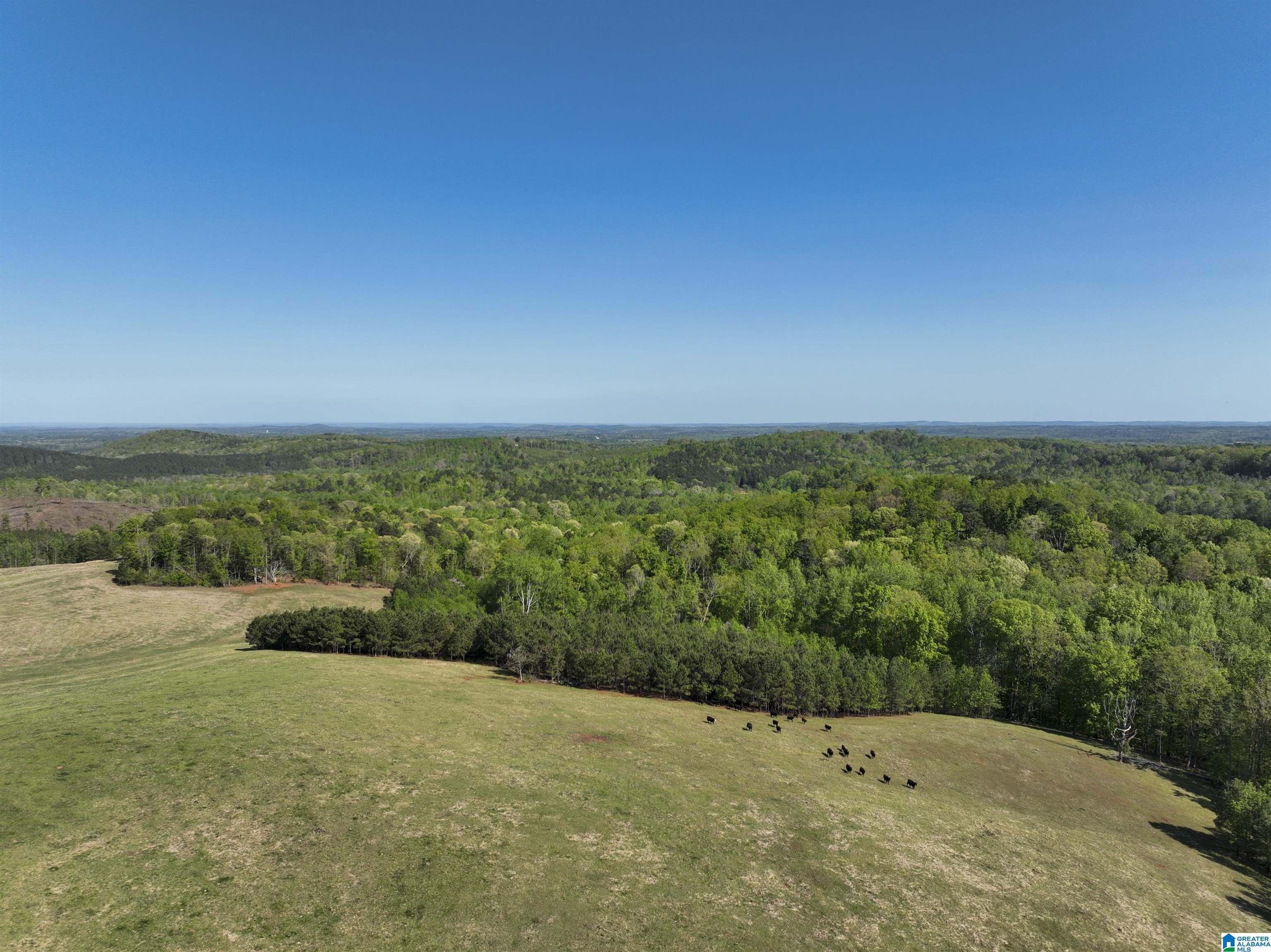 130 Kelly Road Ashland, AL 36251 - Photo 57 of 66