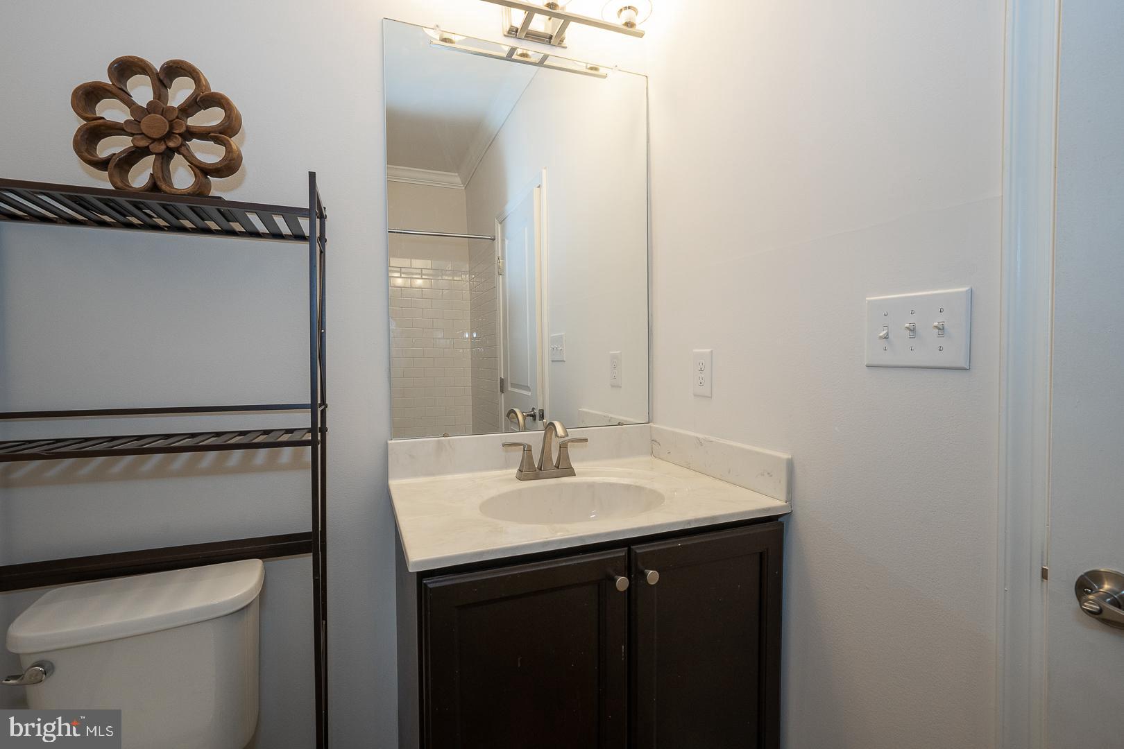 131 Spring Oak Drive Malvern, PA 19355 - Photo 66 of 93 LOWER LEVEL FULL BATH