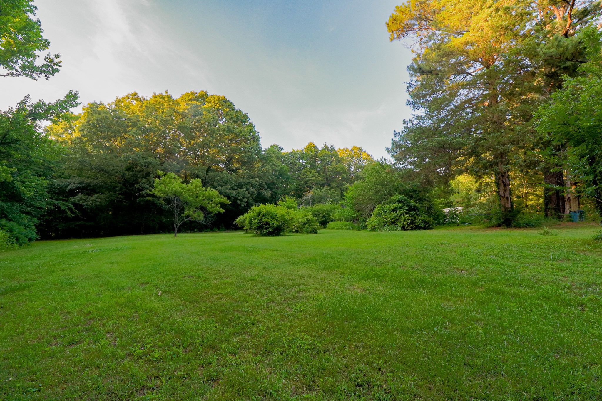 166 Herbert Neal Road Milan, TN 38358 - Photo 10 of 41 Gallery Image 10