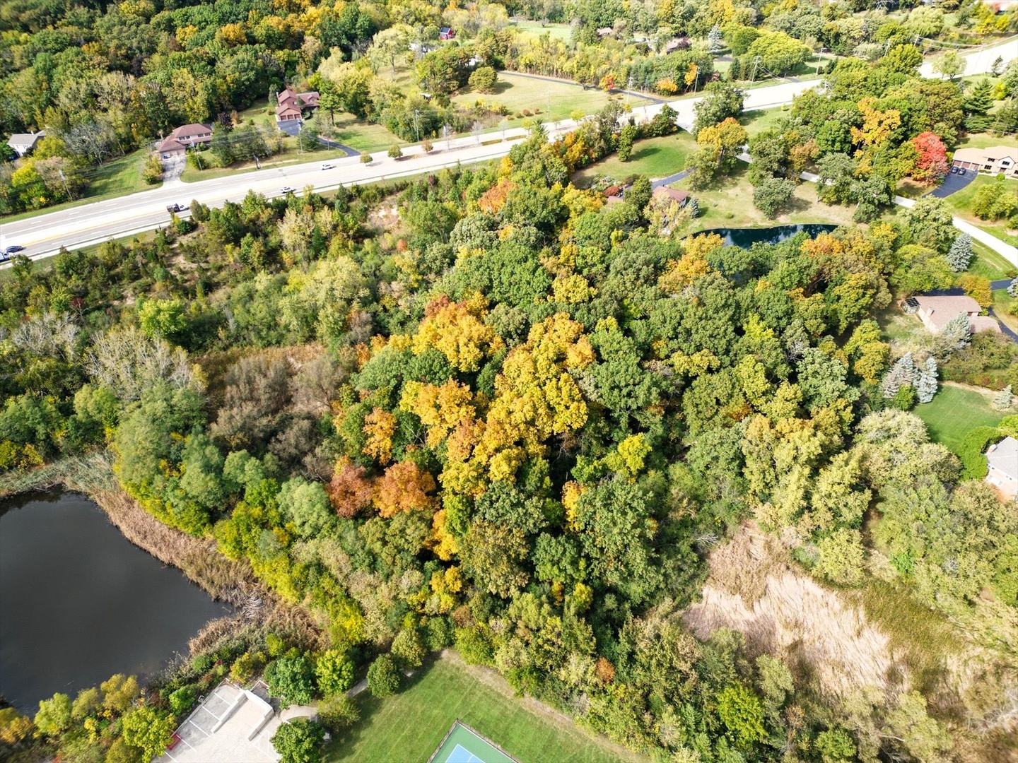 21041-51 North Quentin Road Lake Zurich, IL 60047 - Photo 8 of 12