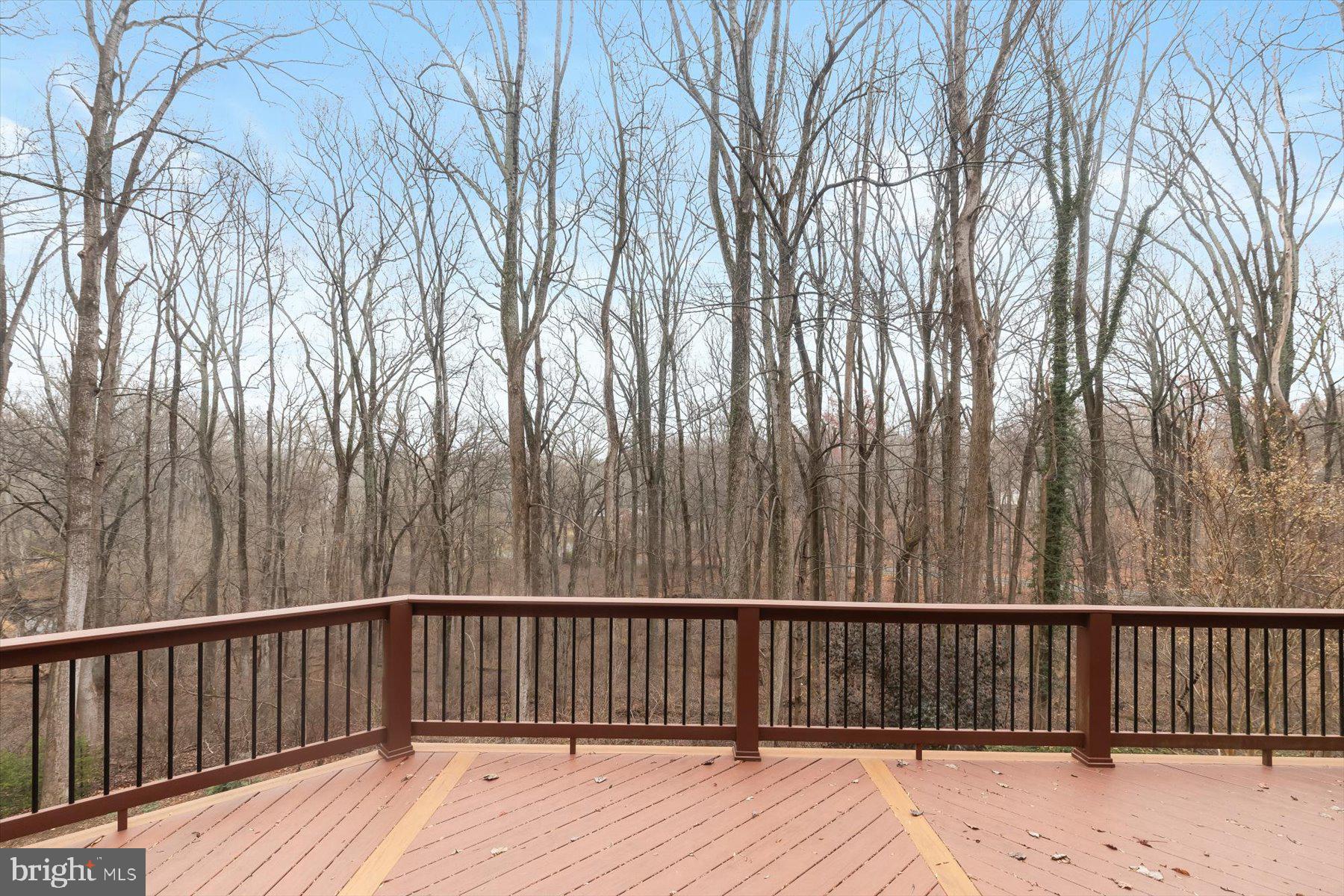12400 Triadelphia Road Ellicott City, MD 21042 - Photo 58 of 67 Expansive Deck Overlooking Yard