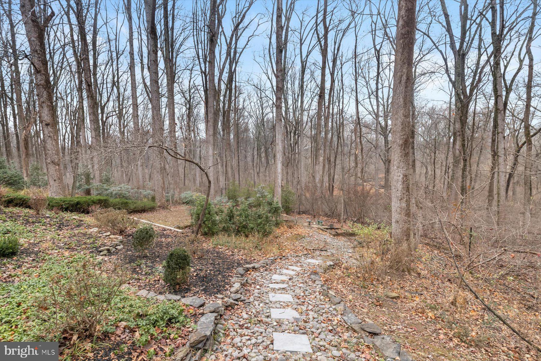 12400 Triadelphia Road Ellicott City, MD 21042 - Photo 62 of 67 Stone Path