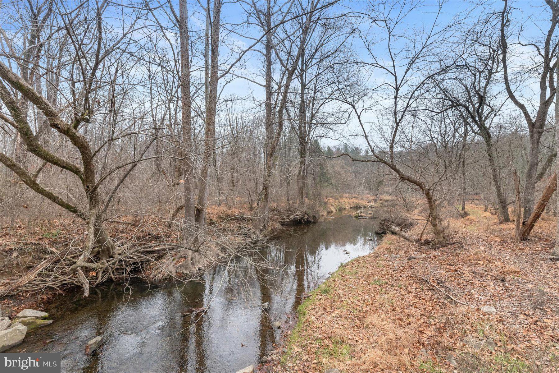12400 Triadelphia Road Ellicott City, MD 21042 - Photo 65 of 67 Behind the Property