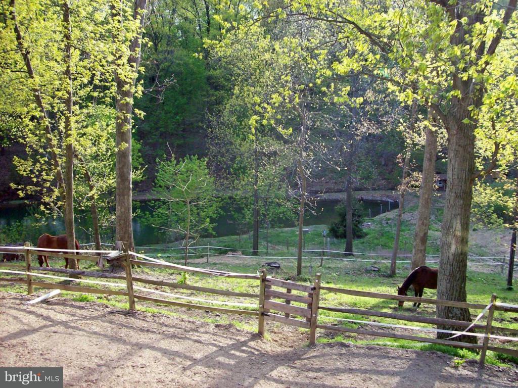 306 Farm Del Circle Lititz, PA 17543 - Photo 3 of 11