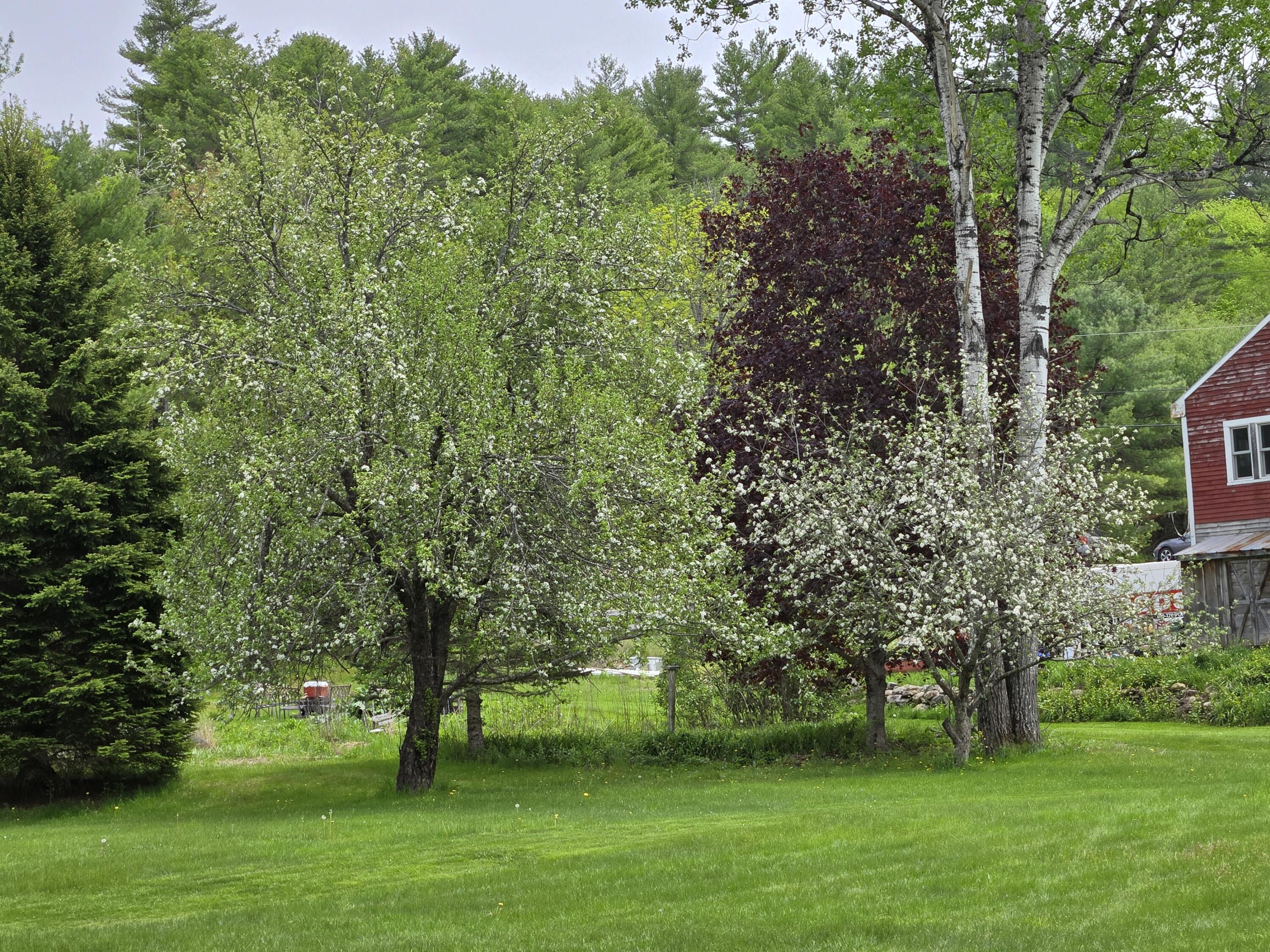 783 Paris Hill Road Paris, ME 04281 - Photo 52 of 69 20260523_134146
