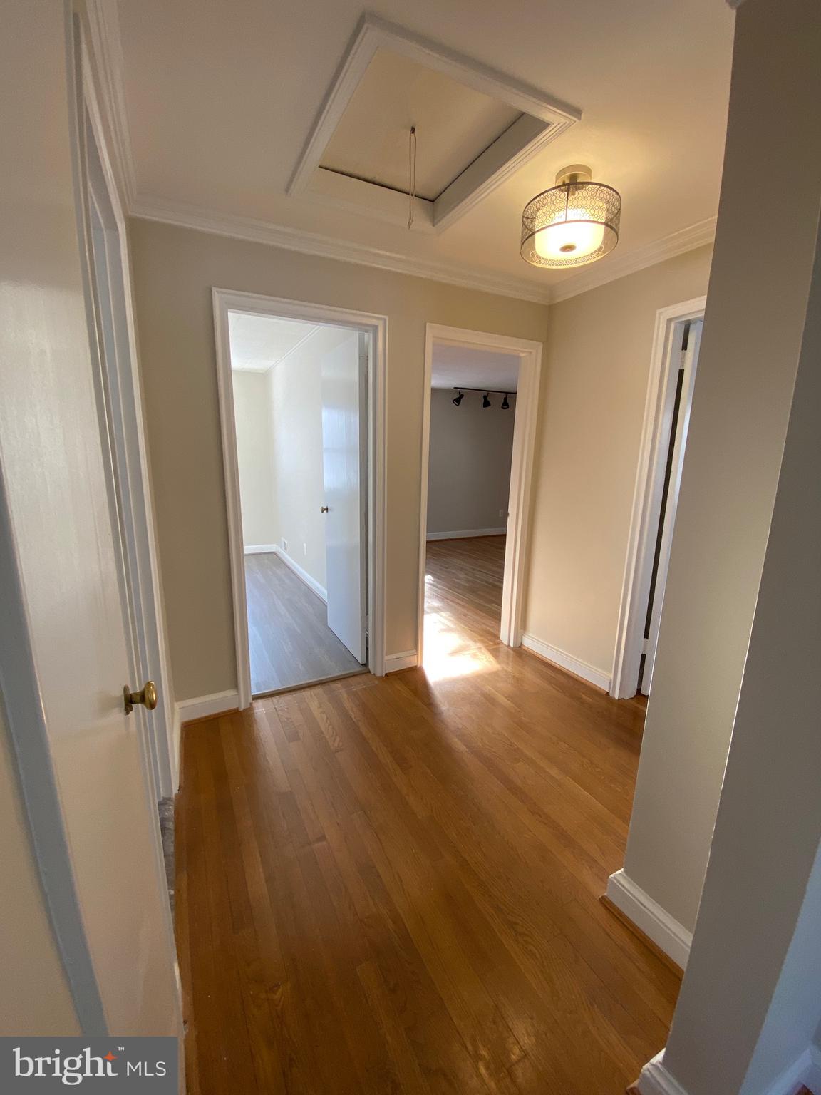 9414 Wire Avenue Silver Spring, MD 20901 - Photo 11 of 23 Hallway