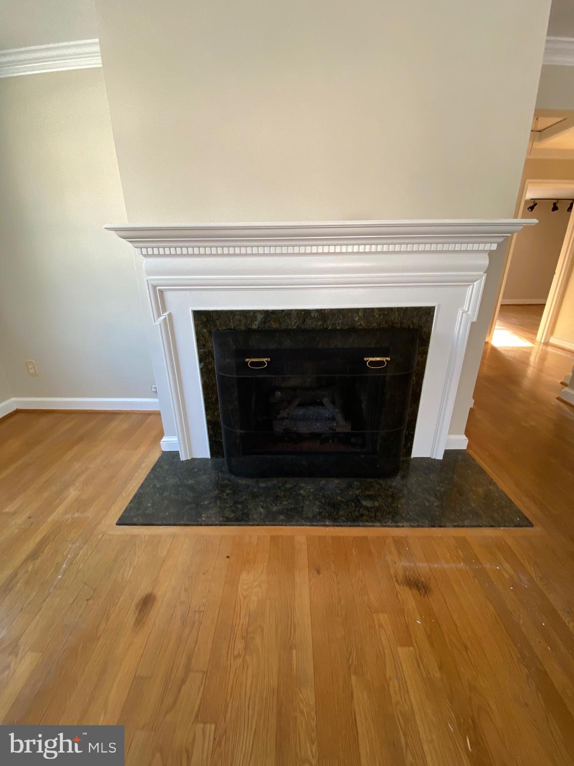 9414 Wire Avenue Silver Spring, MD 20901 - Photo 8 of 23 Living room fireplace