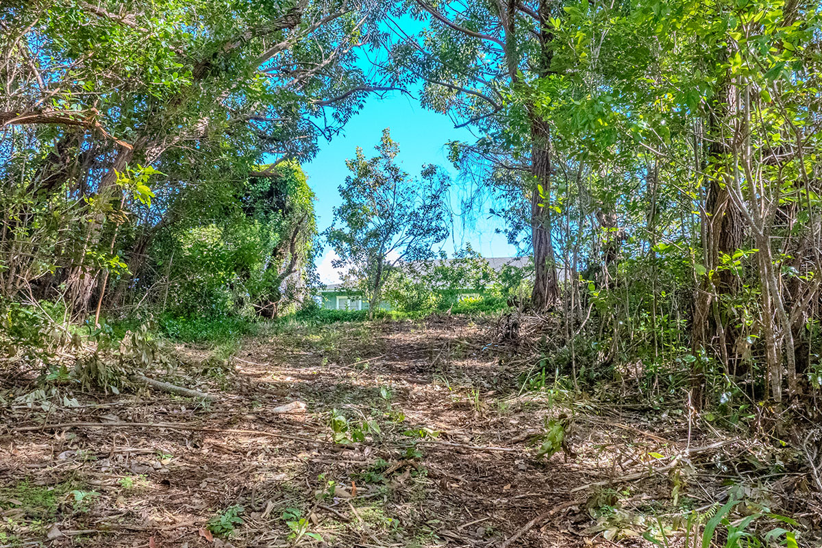 3310 Wawae Road Kalaheo, HI 96741 - Photo 11 of 30
