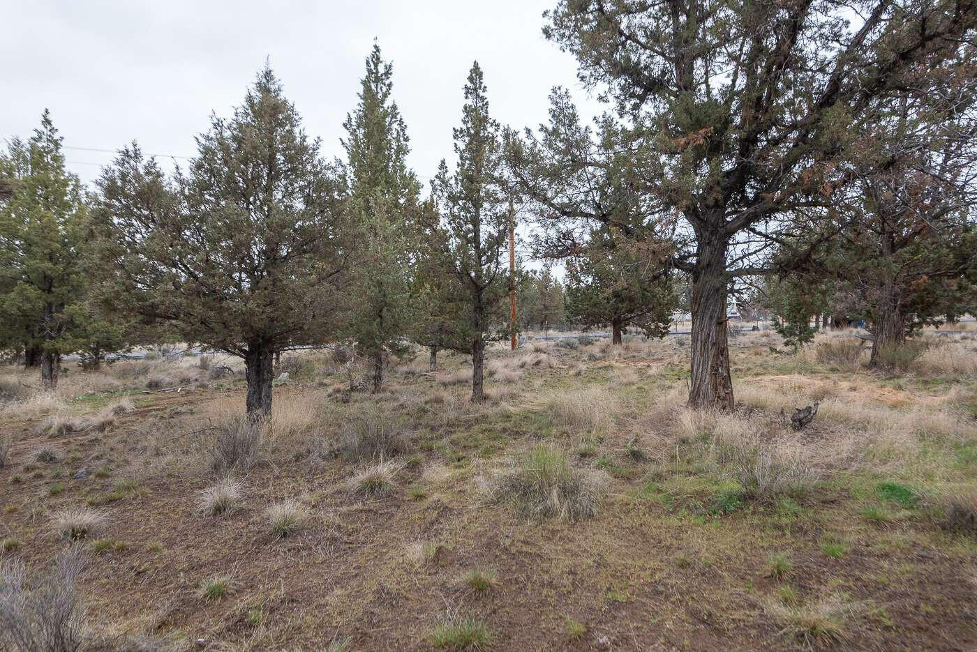 3100 Southeast Klamath Road Prineville, OR 97754 - Photo 19 of 34 Ostler.19