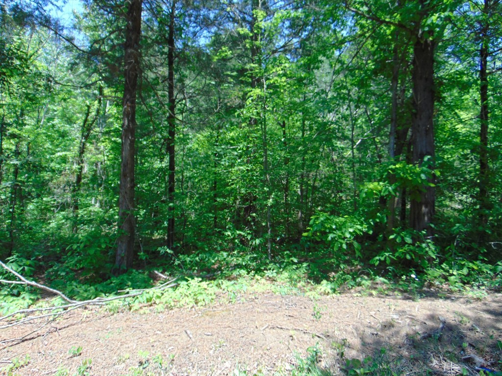 468 Co Road Englewood, TN 37329 - Photo 17 of 33