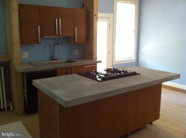 730 St Johns Road Baltimore, MD 21210 - Photo 4 of 22 First Floor Kitchen - Poured Concrete Countertops