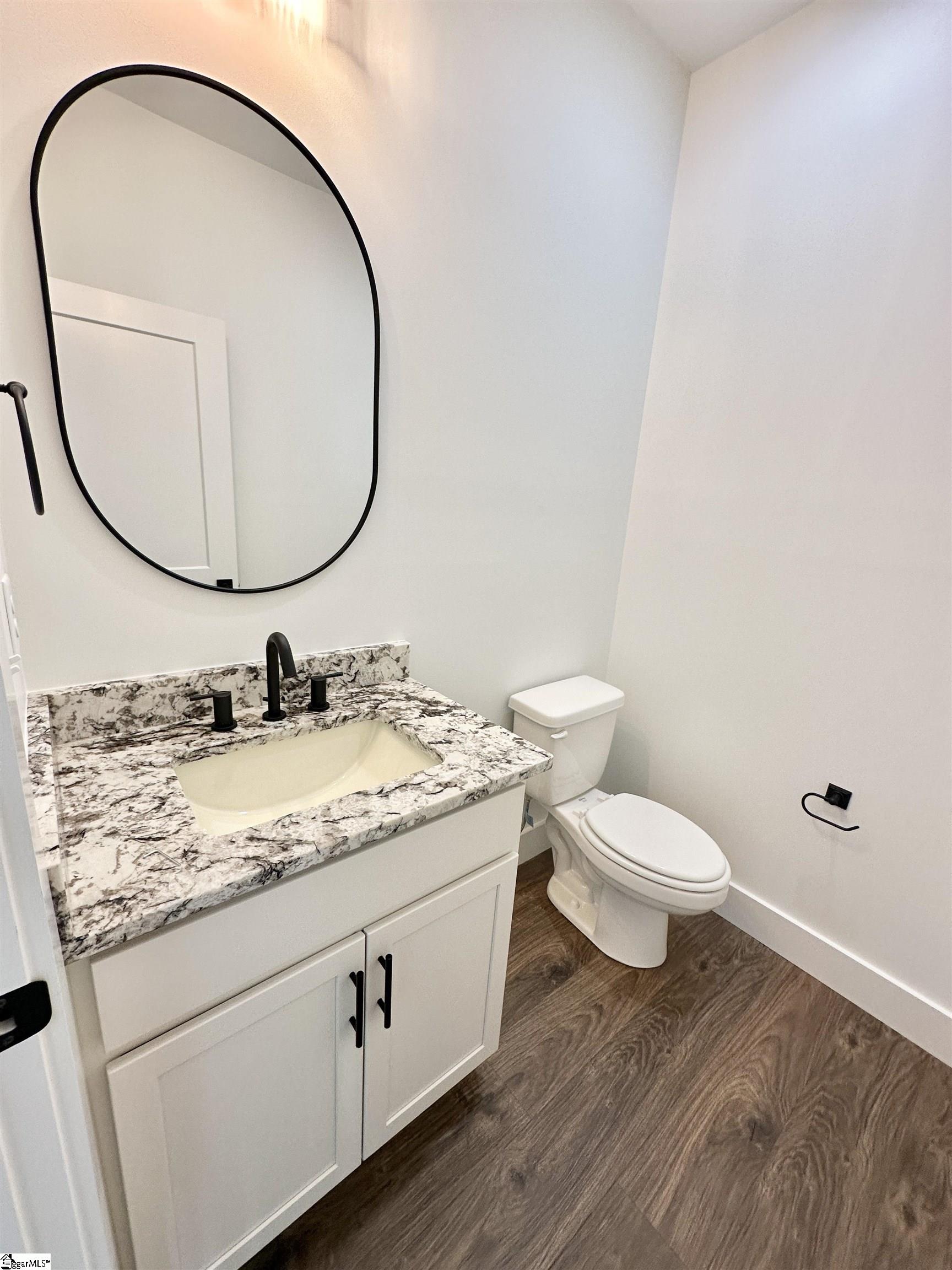 347 Terra Plains Drive Greer, SC 29651 - Photo 2 of 22