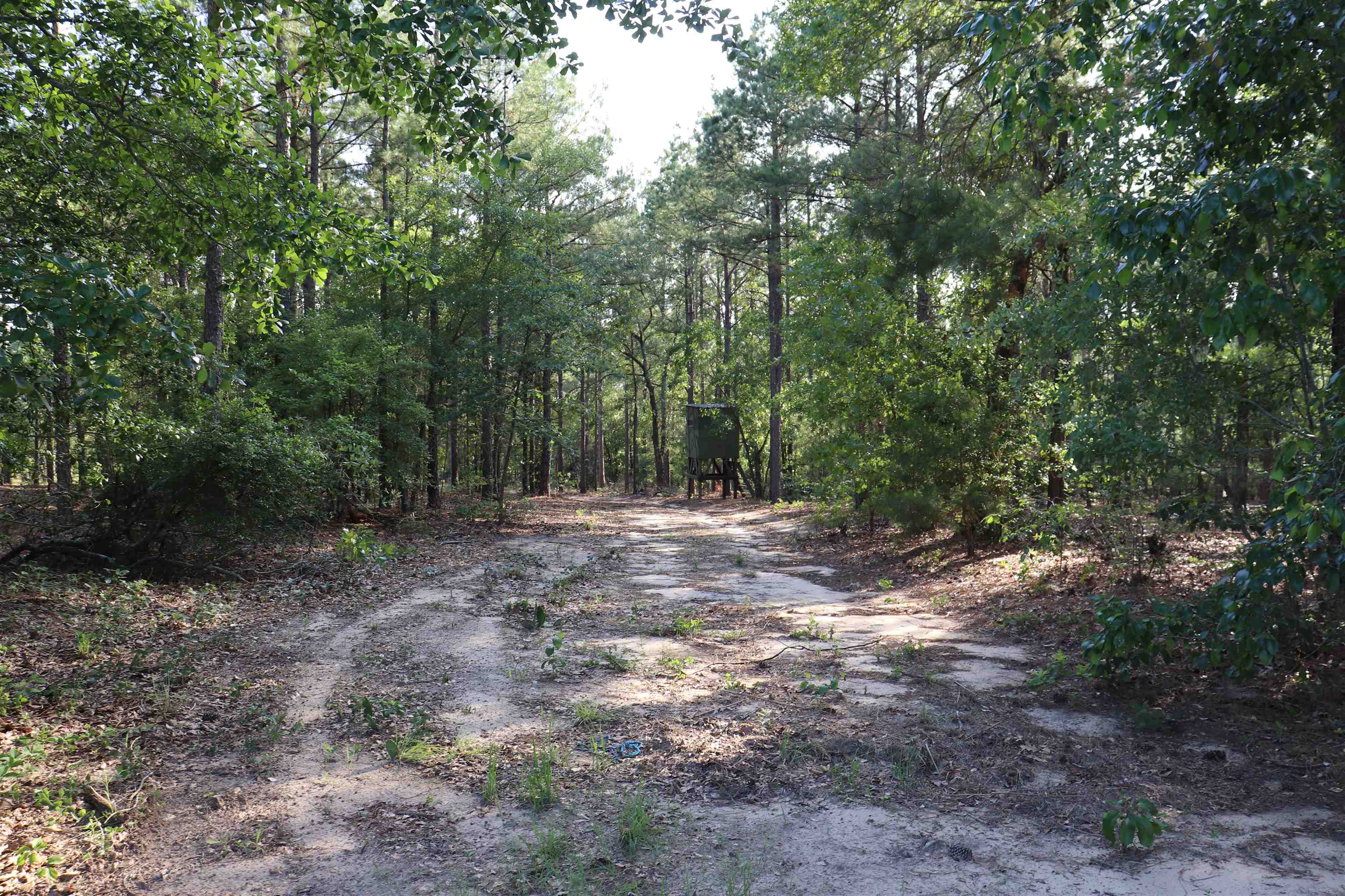 2631 Charlie Johnson Road Bethune, SC 29009 - Photo 19 of 29