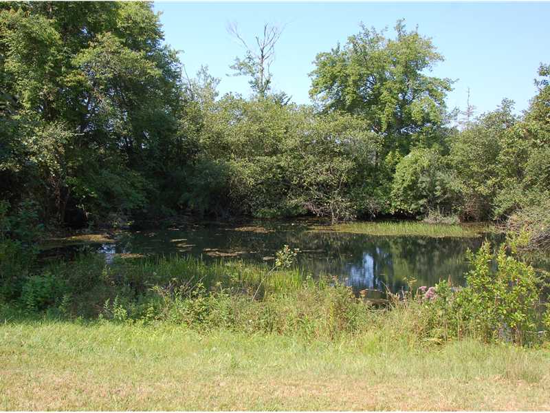 148 Dunns Corner Road Westerly, RI 02891 - Photo 13 of 18 View. 148 Dunns Corner Road Westerly RI Pond