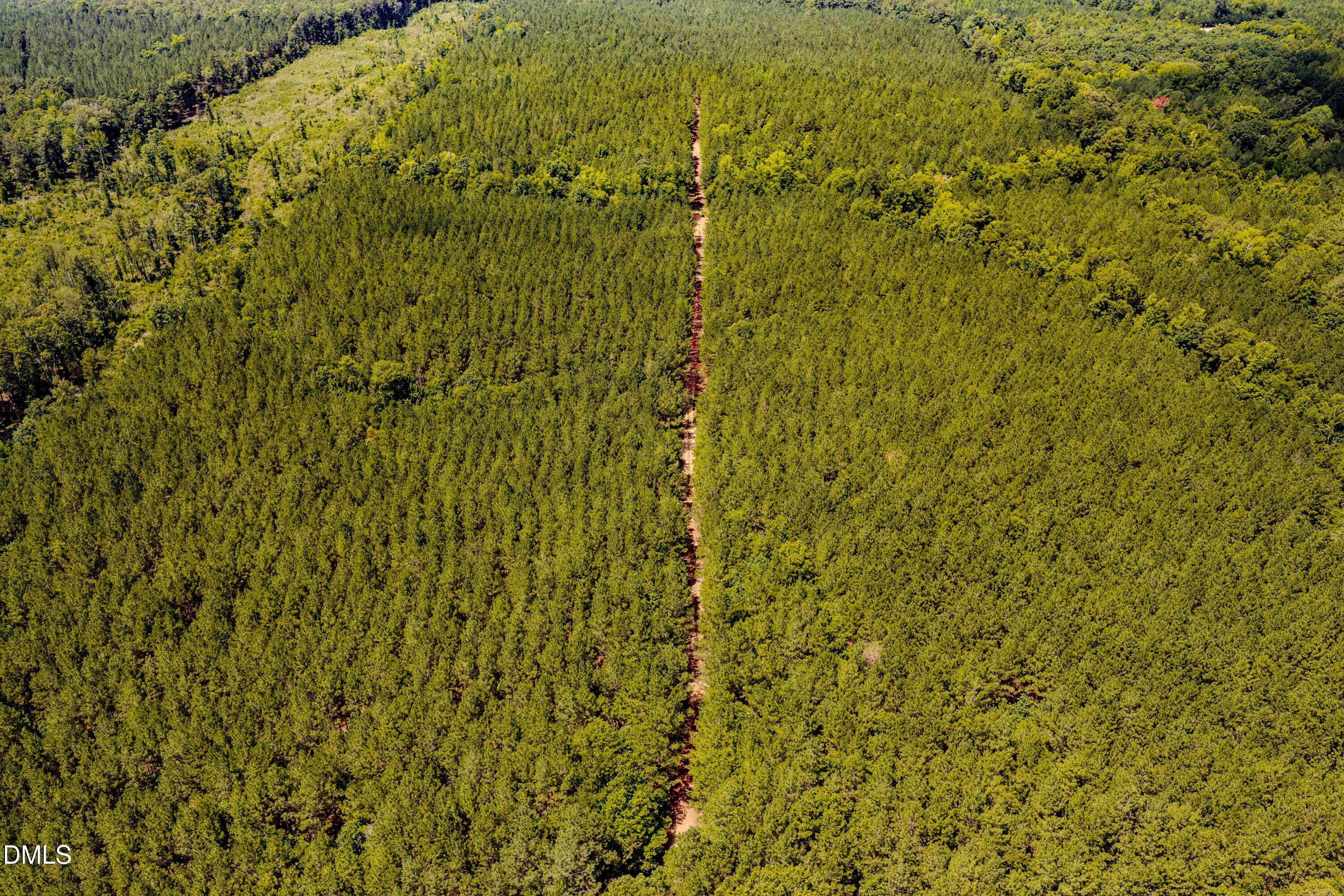 0 Haw Branch Road Sanford, NC 27330 - Photo 20 of 41 Chatham Lumber 77.2 Drone-4