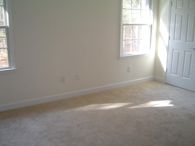 75 Shanleys Loop Ferrum, VA 24088 - Photo 13 of 21 an empty room with windows