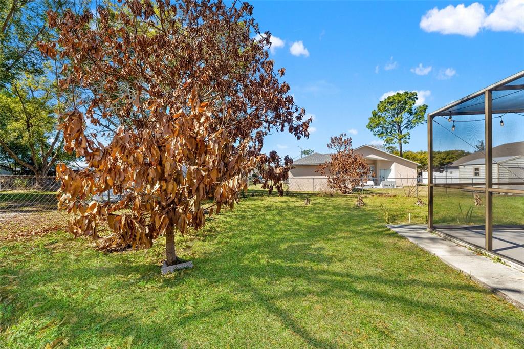 4151 Montano Avenue Spring Hill, FL 34609 - Photo 33 of 34 a view of yard with tree