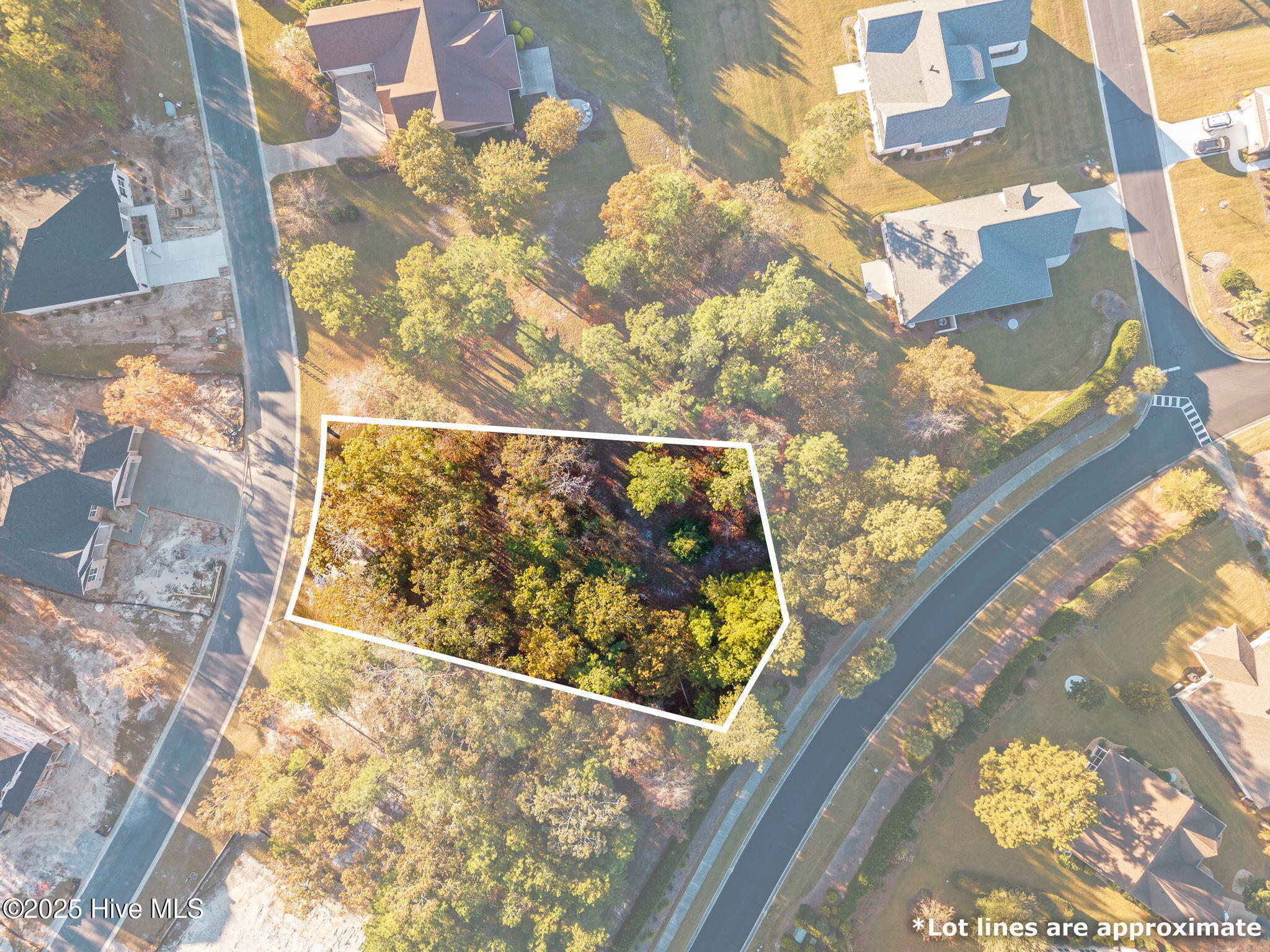 1142 Natal Drive Southeast Bolivia, NC 28422 - Photo 4 of 31 3-web-or-mls-CAMMediaLLC.com 1142-1