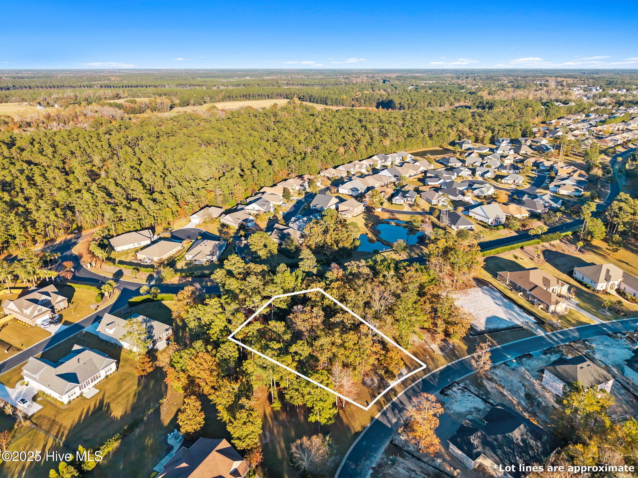 1142 Natal Drive Southeast Bolivia, NC 28422 - Photo 6 of 31 6-web-or-mls-CAMMediaLLC.com 1142-12