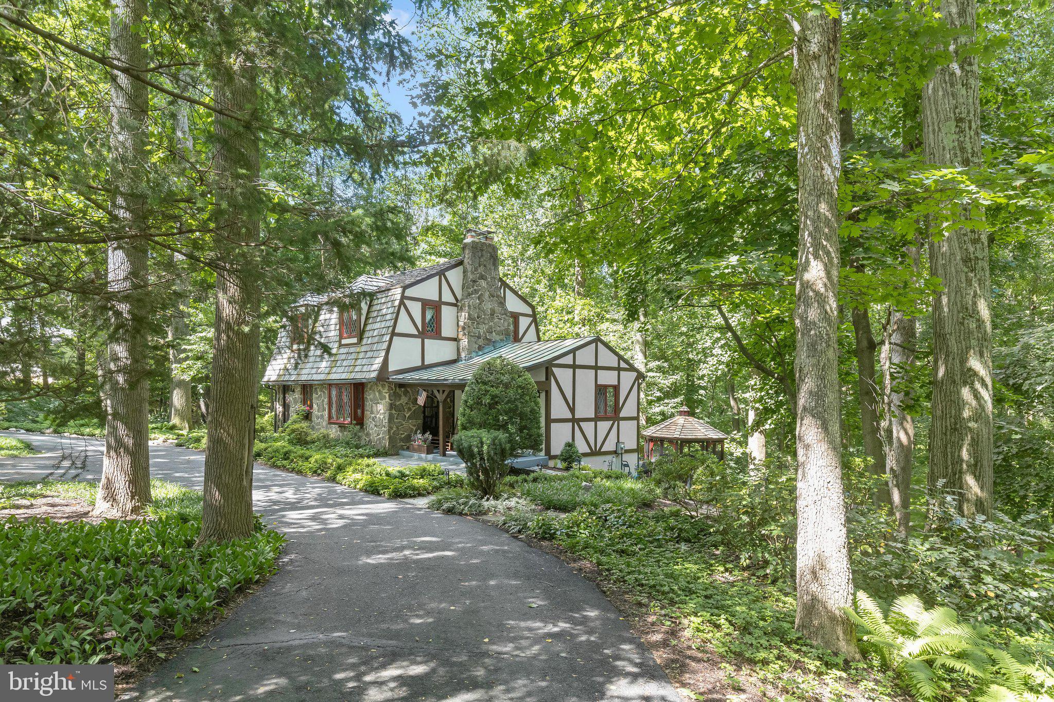 3903 Dance Mill Road Phoenix, MD 21131 - Photo 74 of 79 Wrap Around Driveway