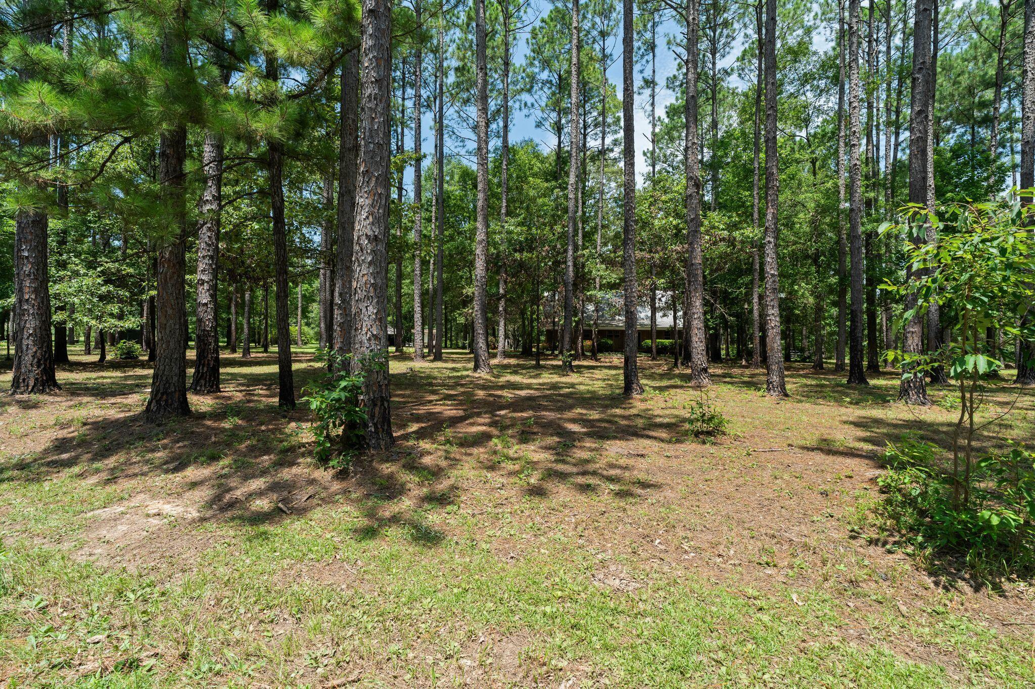 641 Lookout Tower Road Purvis, MS 39475 - Photo 3 of 62 Gallery Image 3