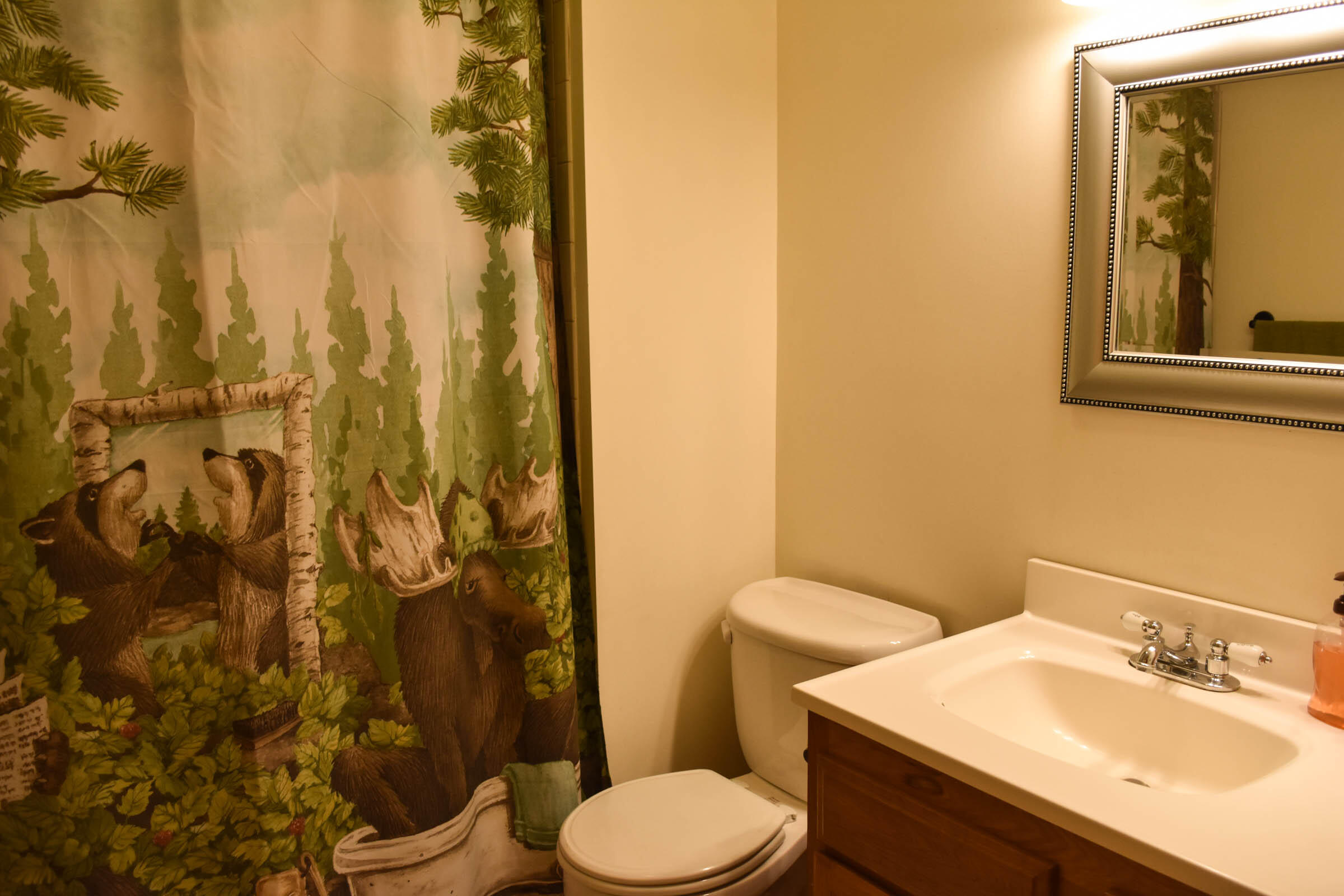 10 Old Colbath Road Exeter, ME 04435 - Photo 25 of 48 25. First floor bathroom has a jetted tu