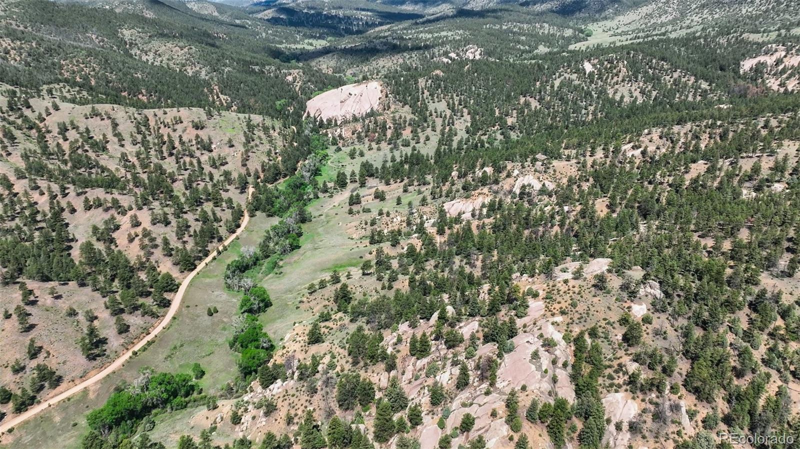 22511 Resort Creek Road Conifer, CO 80433 - Photo 14 of 50