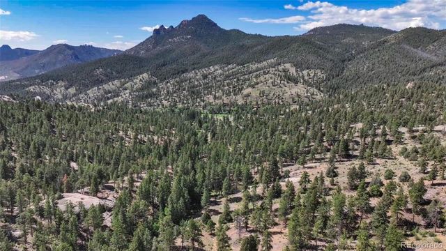 $6,500,000 | 22511 Resort Creek Road, Conifer, CO 80433