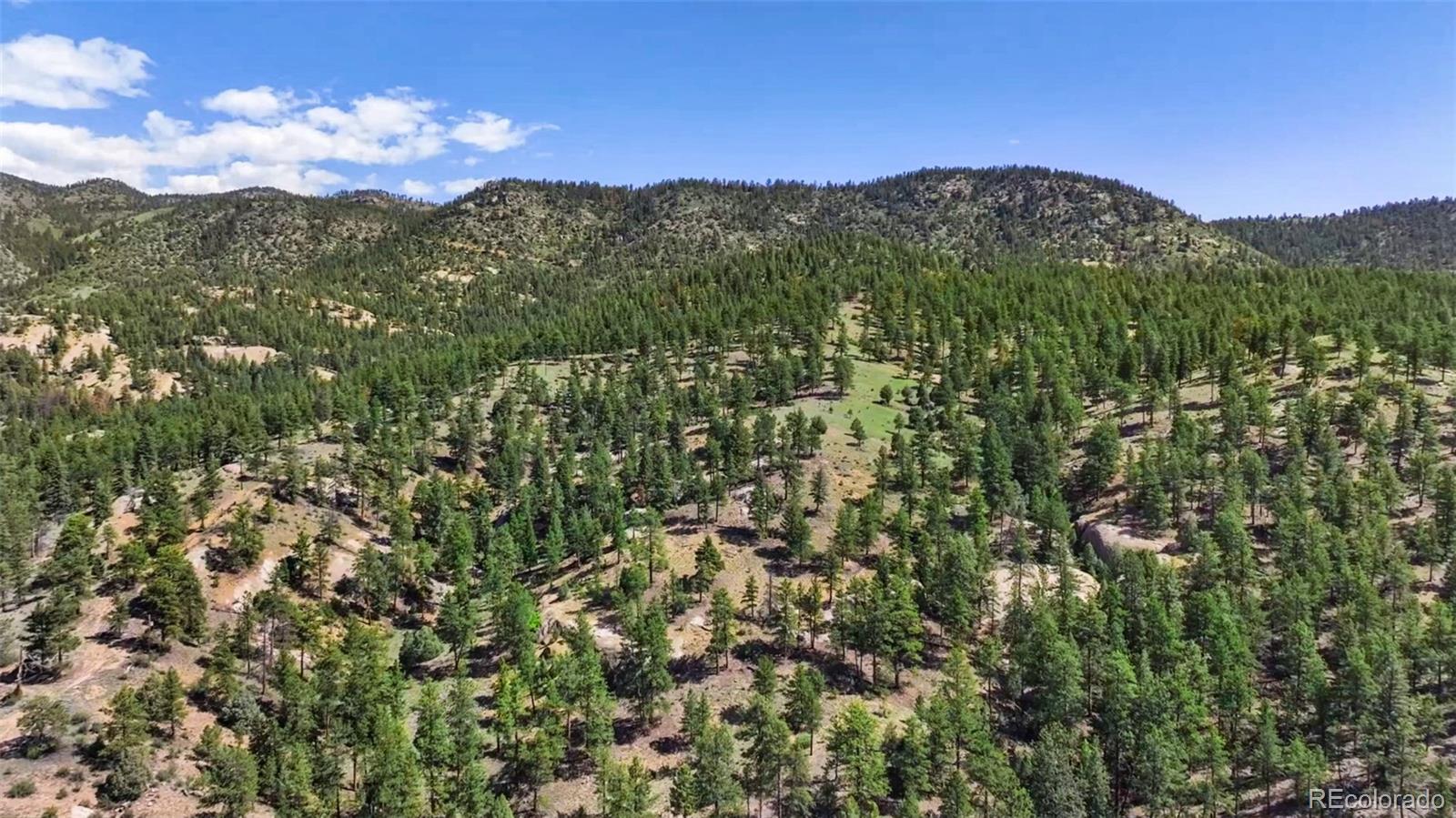 22511 Resort Creek Road Conifer, CO 80433 - Photo 17 of 50