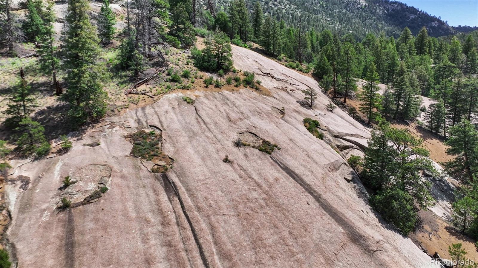 22511 Resort Creek Road Conifer, CO 80433 - Photo 23 of 50