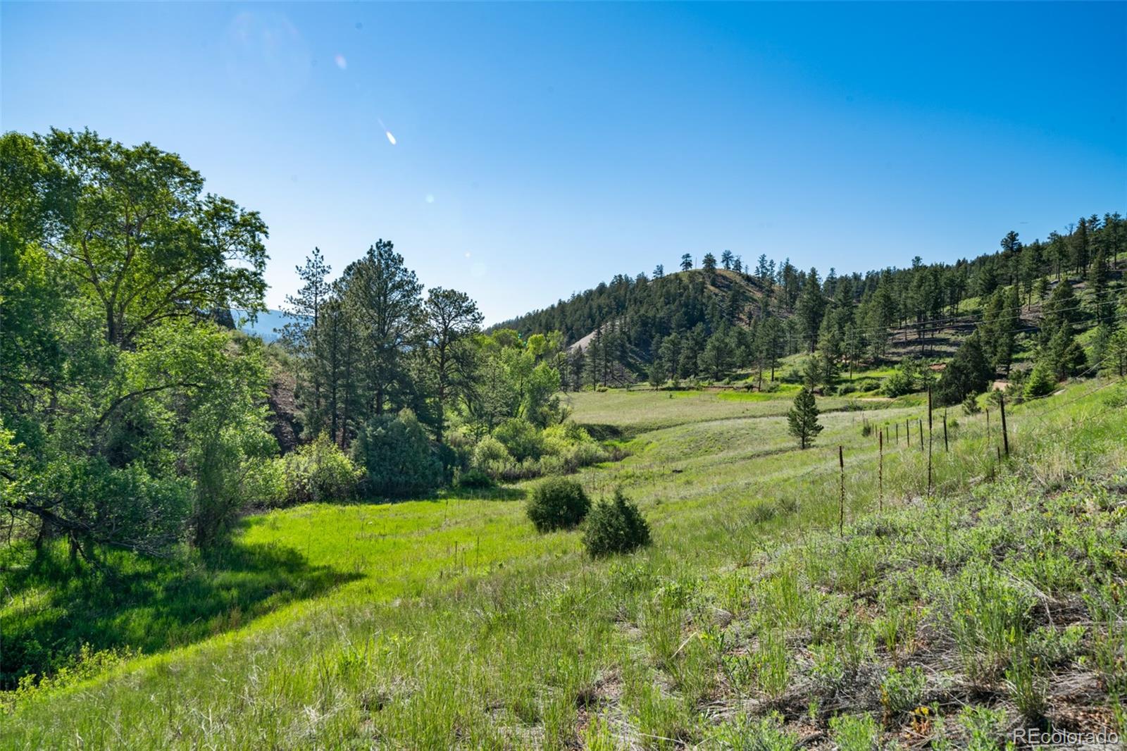 22511 Resort Creek Road Conifer, CO 80433 - Photo 26 of 50