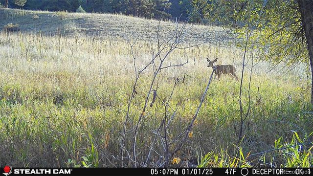 $6,500,000 | 22511 Resort Creek Road, Conifer, CO 80433