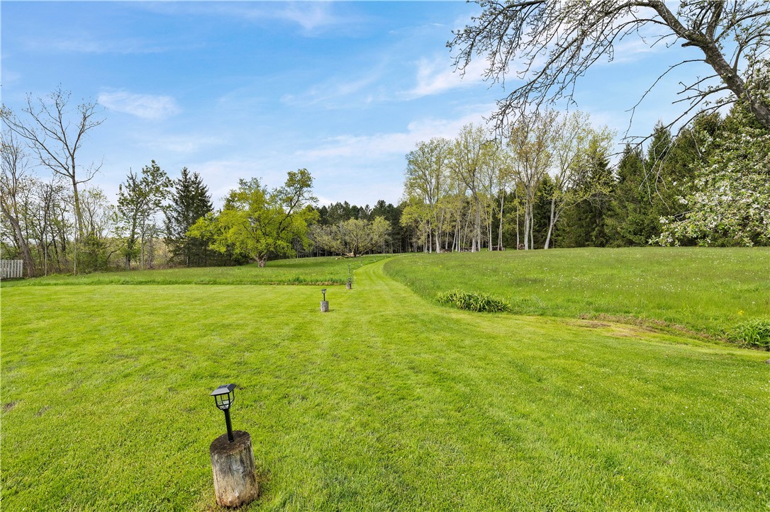 2308 Plank Road Lima, NY 14485 - Photo 48 of 48