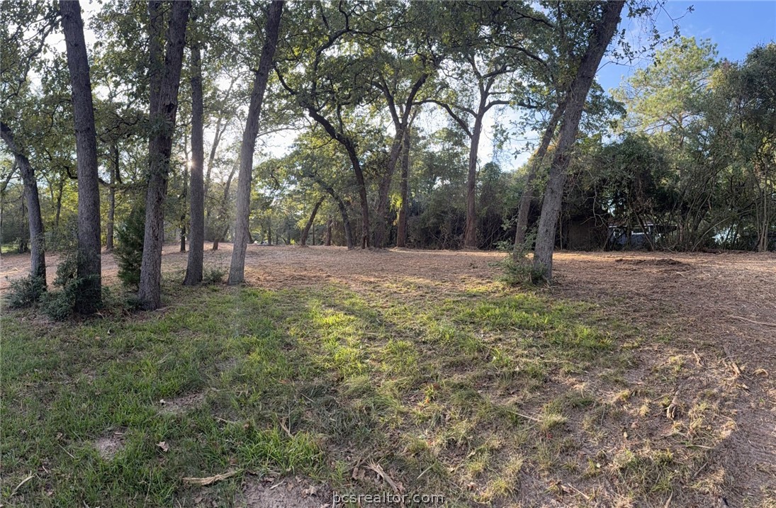9389 Haney Road Franklin, TX 77856 - Photo 1 of 47 Gallery Image 1
