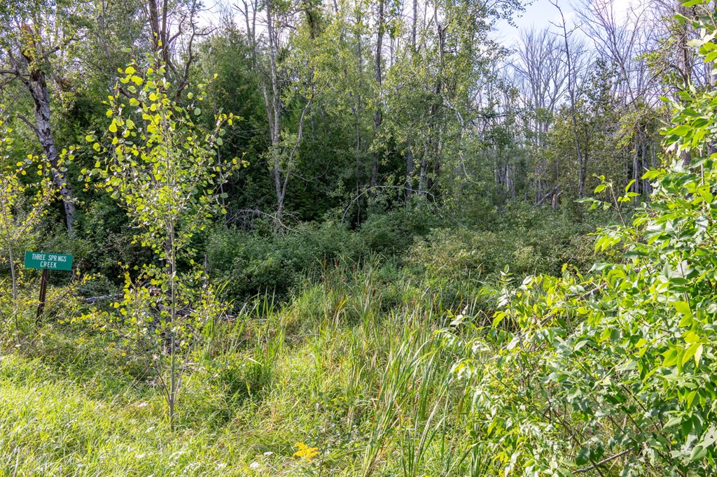 Tbd Tbd County Road Sister Bay, WI 54234 - Photo 5 of 32