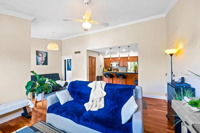 a living room with furniture and a potted plant