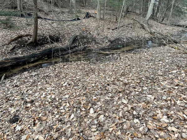 $65,000 | V/l North Beaune Road, Ludington, MI 49431