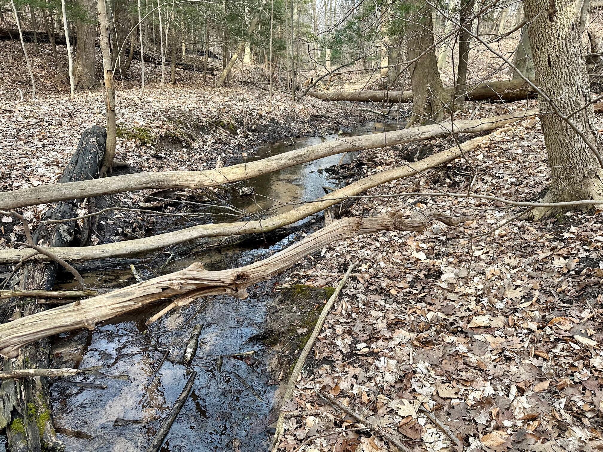 V/l North Beaune Road Ludington, MI 49431 - Photo 3 of 11 IMG_6661