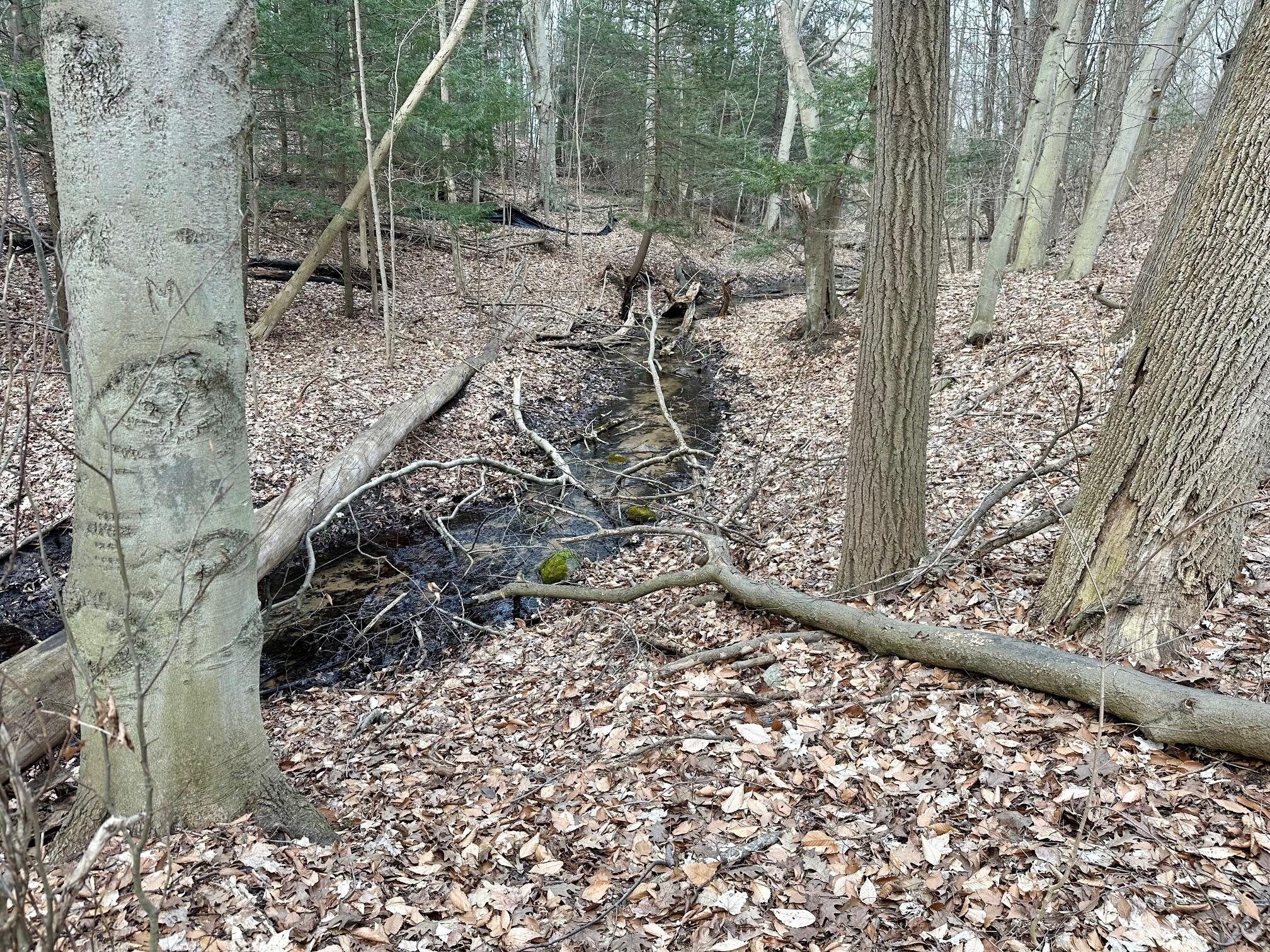 V/l North Beaune Road Ludington, MI 49431 - Photo 6 of 11 IMG_6663